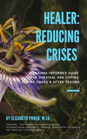 Book Cover for Healer: Reducing Crises Book Cover for Healer: Reducing Crises