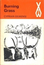 Book Cover for Burning Grass