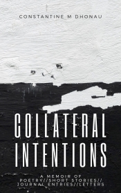 Book Cover for Collateral Intentions Book Cover for Collateral Intentions