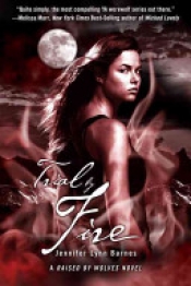 Book Cover for Trial by Fire Book Cover for Trial by Fire