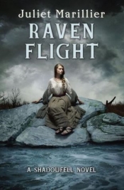 Book Cover for Raven Flight Book Cover for Raven Flight