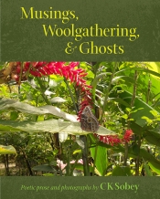 Book Cover for Musings, Woolgathering,& Ghosts Book Cover for Musings, Woolgathering,& Ghosts