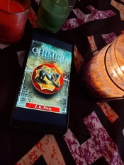Book Cover for Codename Chimera Book Cover for Codename Chimera
