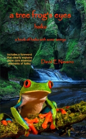 Book Cover for A Tree Frog's Eyes
