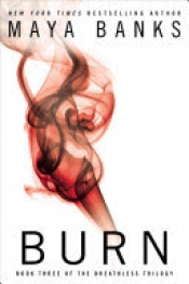 Book Cover for Burn Book Cover for Burn