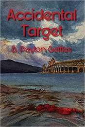 Book Cover for Accidental Target