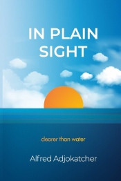Book Cover for In Plain Sight