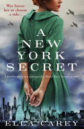 Book Cover for A New York Secret Book Cover for A New York Secret