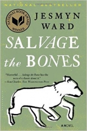 Book Cover for Salvage the Bones Book Cover for Salvage the Bones