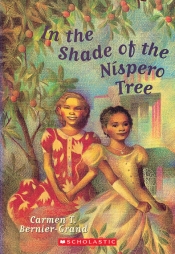 Book Cover for In the Shade of the Nispero Tree