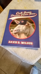 Book Cover for Cub Fans Dream Come True