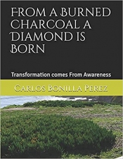 Book Cover for From a Burned Charcoal a Diamond is Born Book Cover for From a Burned Charcoal a Diamond is Born