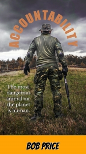 Book Cover for Accountability