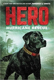 Book Cover for Hurricane Rescue Book Cover for Hurricane Rescue