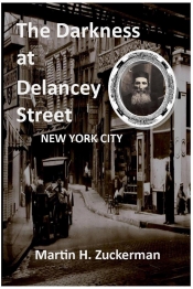 Book Cover for The Darkness at Delancey Street