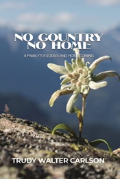 Book Cover for No Country No Home
