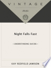 Book Cover for Night Falls Fast