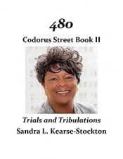 Book Cover for 480 Codorus Street Book Cover for 480 Codorus Street