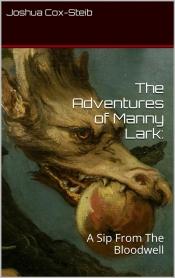 Book Cover for The Adventures of Manny Lark