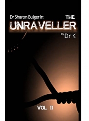 Book Cover for The Unraveller