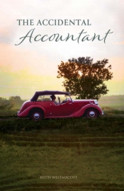 Book Cover for The accidental accountant Book Cover for The accidental accountant
