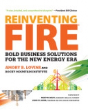 Book Cover for Reinventing Fire