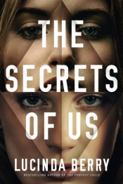 Book Cover for The Secrets of Us