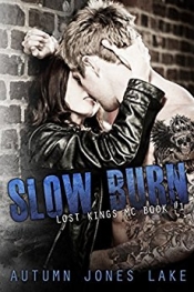 Book Cover for Slow Burn