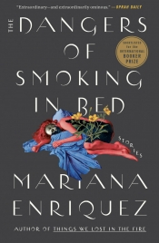 Book Cover for The Dangers of Smoking in Bed
