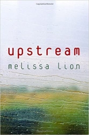 Book Cover for Upstream