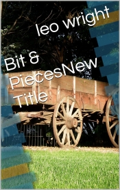 Book Cover for Bits & Pieces Book Cover for Bits & Pieces