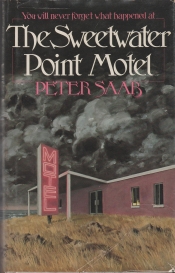 Book Cover for The Sweetwater Point Motel Book Cover for The Sweetwater Point Motel