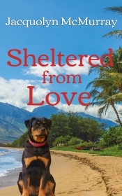 Book Cover for Sheltered from Love