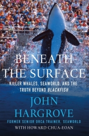Book Cover for Beneath the Surface