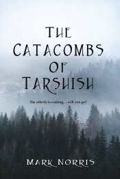 Cover for The Catacombs of Tarshish: The otherly is waiting, will you go?
