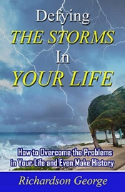 Book Cover for Defying The Storms In Your Life Book Cover for Defying The Storms In Your Life