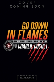 Book Cover for Go Down in Flames (TIN #2) Book Cover for Go Down in Flames (TIN #2)