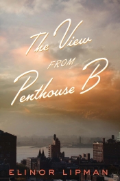 Book Cover for the view from penthouse b Book Cover for the view from penthouse b