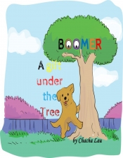 Book Cover for Boomer Book Cover for Boomer
