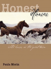 Book Cover for Honest Horses Book Cover for Honest Horses