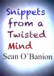 Book Cover for Snippets from a Twisted Mind Book Cover for Snippets from a Twisted Mind