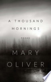 Book Cover for A Thousand Mornings Book Cover for A Thousand Mornings
