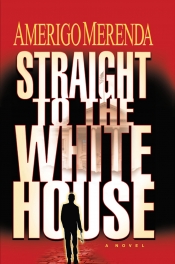 Book Cover for Straight To The White House Book Cover for Straight To The White House