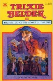 Book Cover for The Mystery of the Memorial Day Fire Book Cover for The Mystery of the Memorial Day Fire