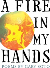 Book Cover for A Fire in My Hands Book Cover for A Fire in My Hands