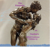 Book Cover for The fountain at Ugalnis