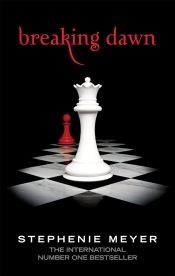 Book Cover for Breaking Dawn Part
