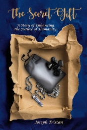 Book Cover for The Secret Gift