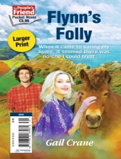 Book Cover for Flynn's Folly Book Cover for Flynn's Folly