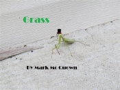 Book Cover for Grass Book Cover for Grass